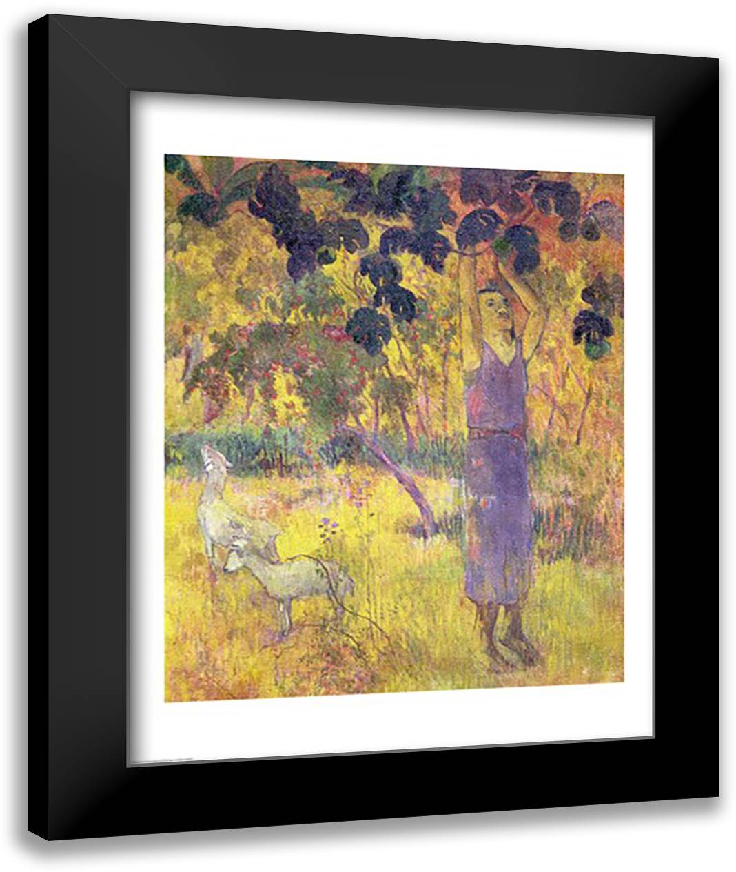 Man Picking Fruit from a Tree, 1897 22x28 Black Modern Wood Framed Art Print Poster by Gauguin, Paul