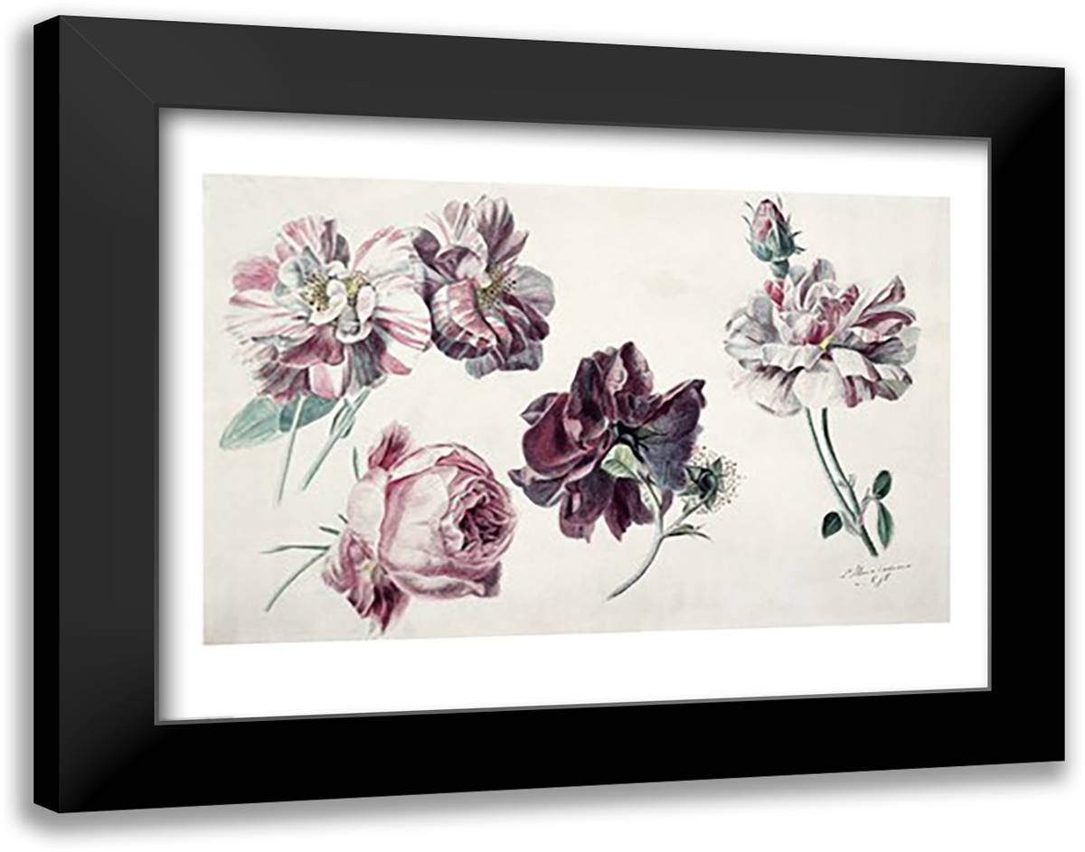 Roses 28x22 Black Modern Wood Framed Art Print Poster by Alma-Tadema, Sir Lawrence