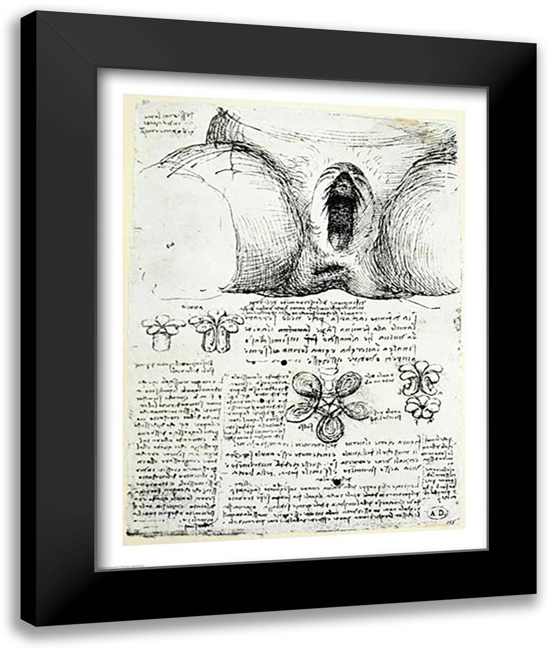 The Female Sexual Organs 22x28 Black Modern Wood Framed Art Print Poster by da Vinci, Leonardo