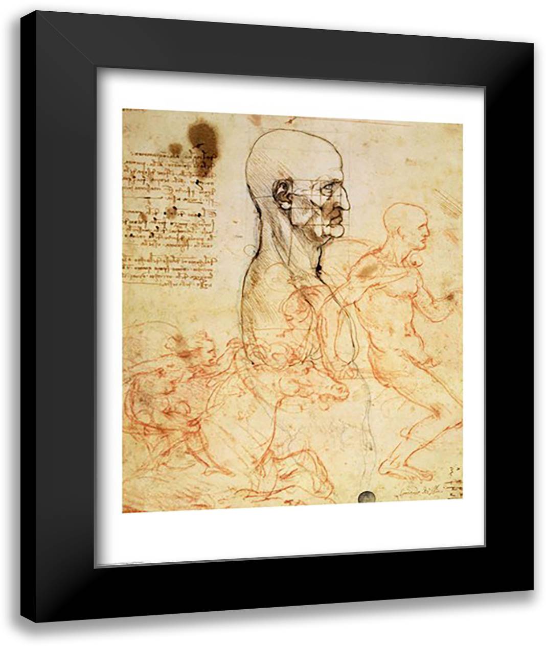 Torso of a Man in Profile, the Head Squared for Proportion 22x28 Black Modern Wood Framed Art Print Poster by da Vinci, Leonardo