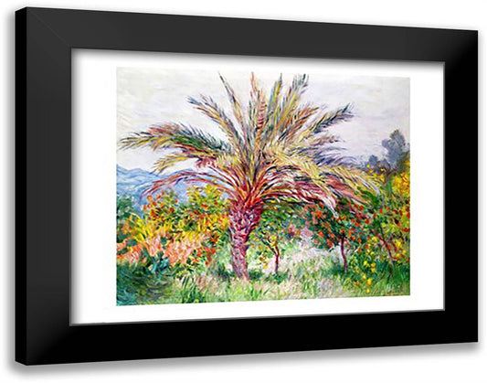 Palm Tree at Bordighera 28x22 Black Modern Wood Framed Art Print Poster by Monet, Claude