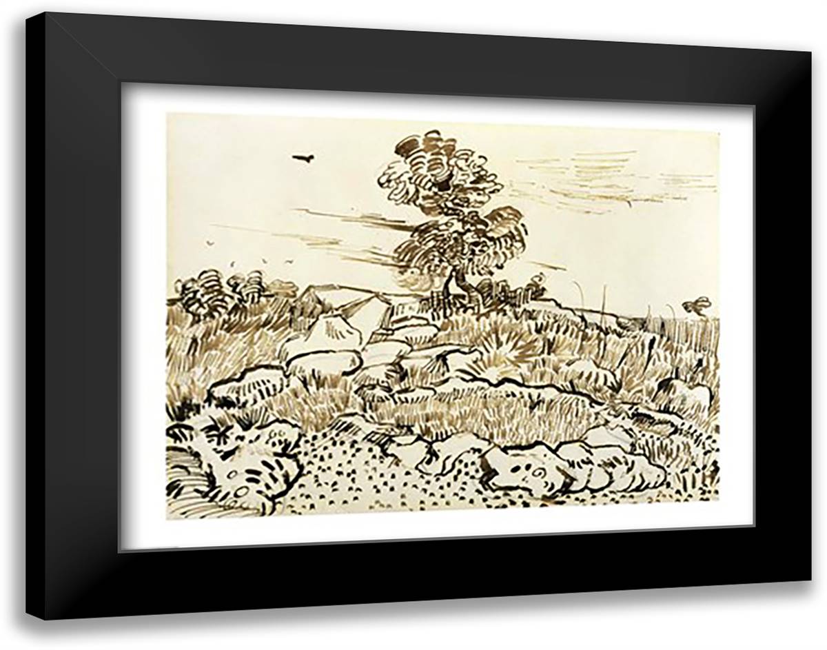 Rocky Ground at Montmajour 28x22 Black Modern Wood Framed Art Print Poster by Van Gogh, Vincent