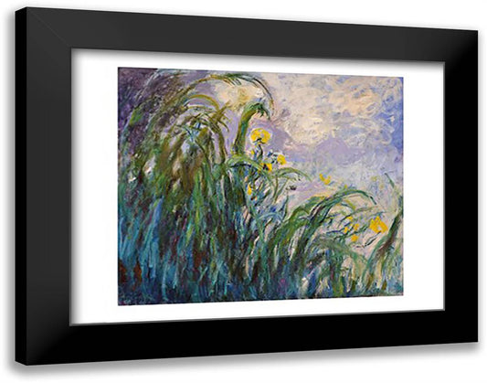 The Yellow Iris 28x22 Black Modern Wood Framed Art Print Poster by Monet, Claude