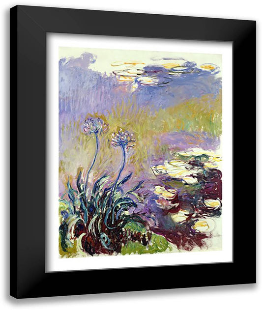 The Agapanthus, 1914-17 22x28 Black Modern Wood Framed Art Print Poster by Monet, Claude