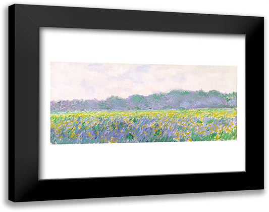 Field of Yellow Irises at Giverny, 1887 28x22 Black Modern Wood Framed Art Print Poster by Monet, Claude