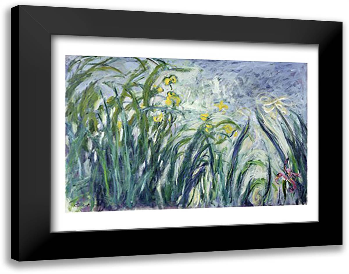 Yellow and Purple Irises, 1924-25 28x22 Black Modern Wood Framed Art Print Poster by Monet, Claude
