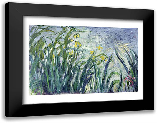 Yellow and Purple Irises, 1924-25 28x22 Black Modern Wood Framed Art Print Poster by Monet, Claude