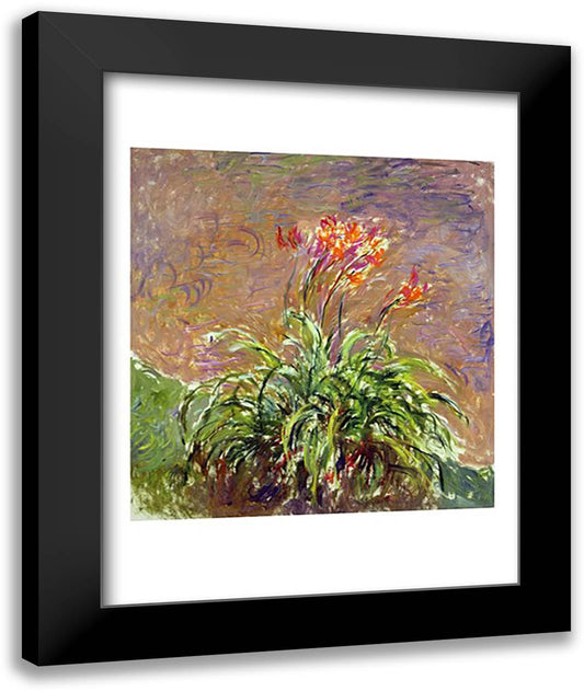 Hemerocallis, 1914-17 22x28 Black Modern Wood Framed Art Print Poster by Monet, Claude