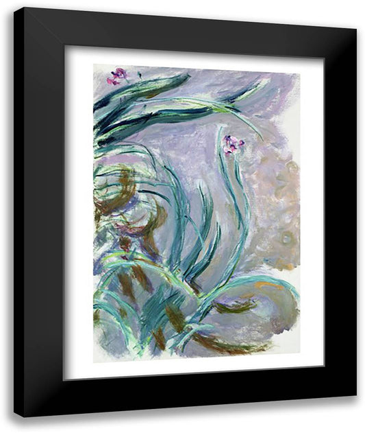 Iris 22x28 Black Modern Wood Framed Art Print Poster by Monet, Claude