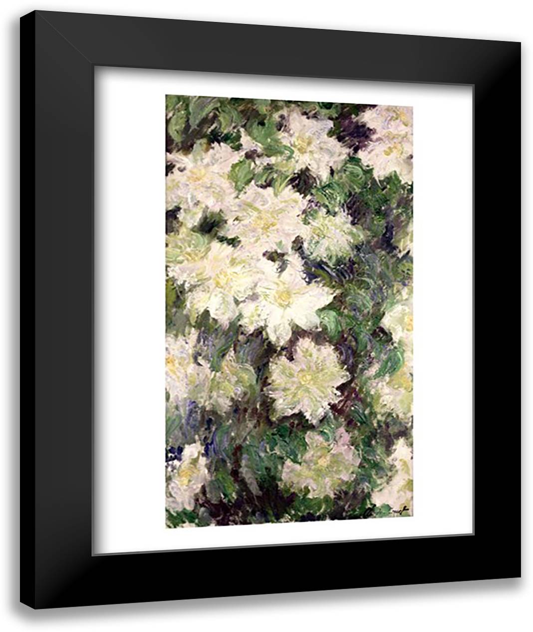 White Clematis, 1887 22x28 Black Modern Wood Framed Art Print Poster by Monet, Claude