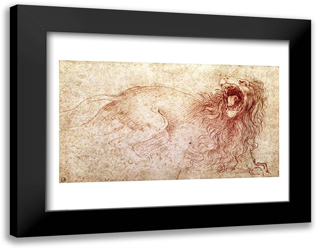 Sketch of a roaring lion 28x22 Black Modern Wood Framed Art Print Poster by da Vinci, Leonardo