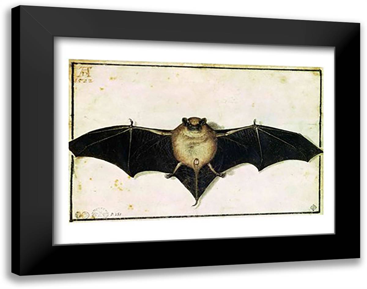 Bat, 1522 28x22 Black Modern Wood Framed Art Print Poster by Durer, Albrecht