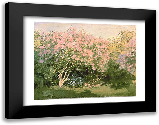 Lilac in the Sun, 1873 28x22 Black Modern Wood Framed Art Print Poster by Monet, Claude
