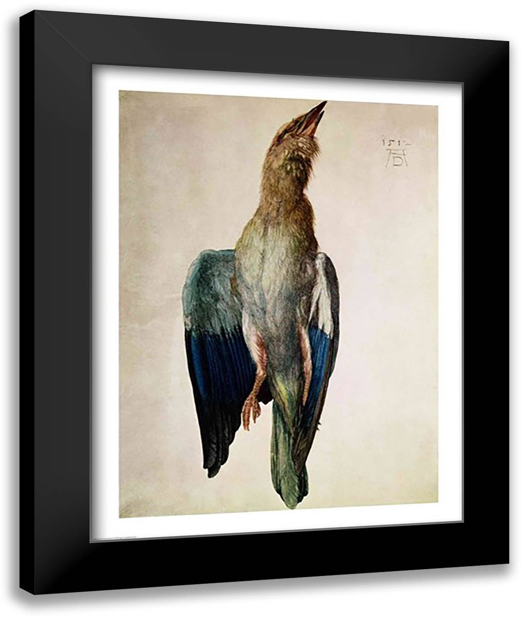 Blue Crow, 1512 22x28 Black Modern Wood Framed Art Print Poster by Durer, Albrecht