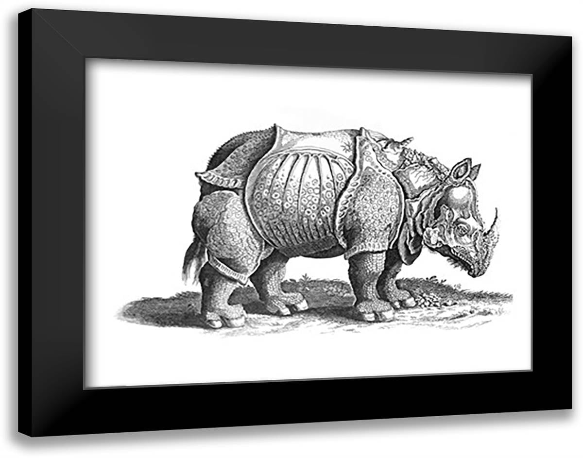 Rhinoceros 28x22 Black Modern Wood Framed Art Print Poster by Durer, Albrecht