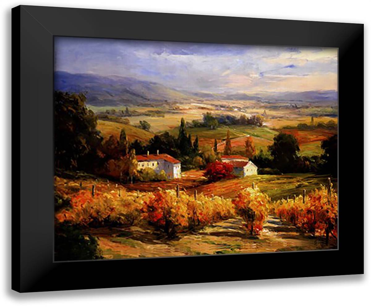 Hazy Tuscan Farm 14x12 Black Modern Wood Framed Art Print Poster by Hinus, S.