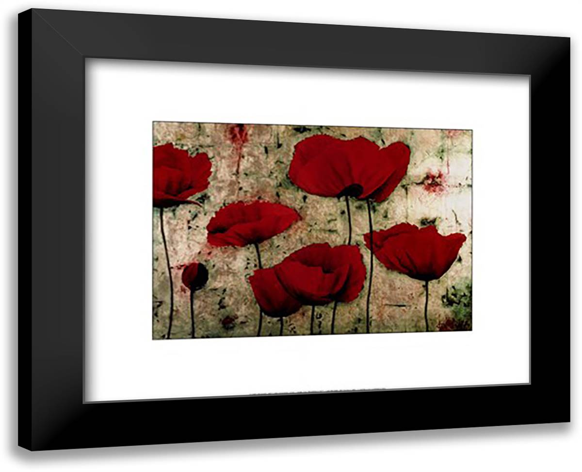 Poppies IV 18x15 Black Modern Wood Framed Art Print Poster by Castillo, Dana Del