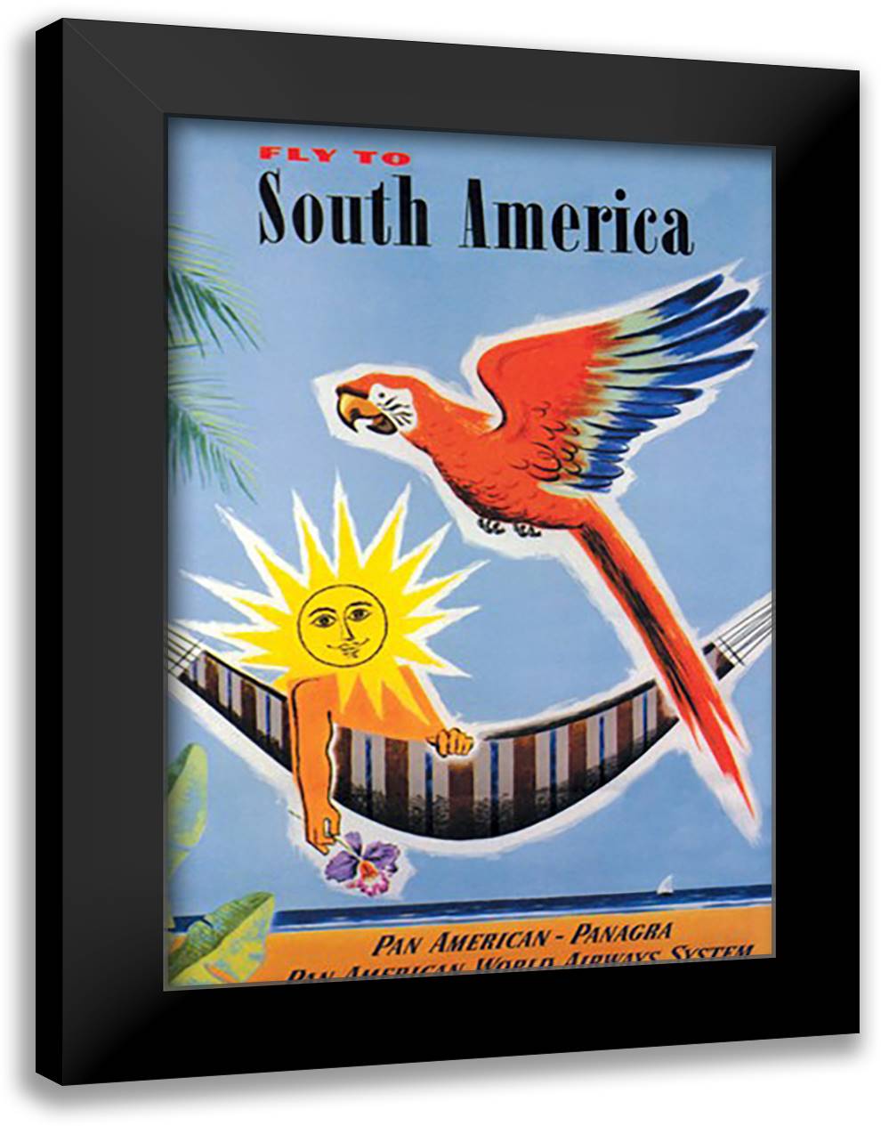 Fly to South America 16x22 Black Modern Wood Framed Art Print Poster by Dubois, Jean