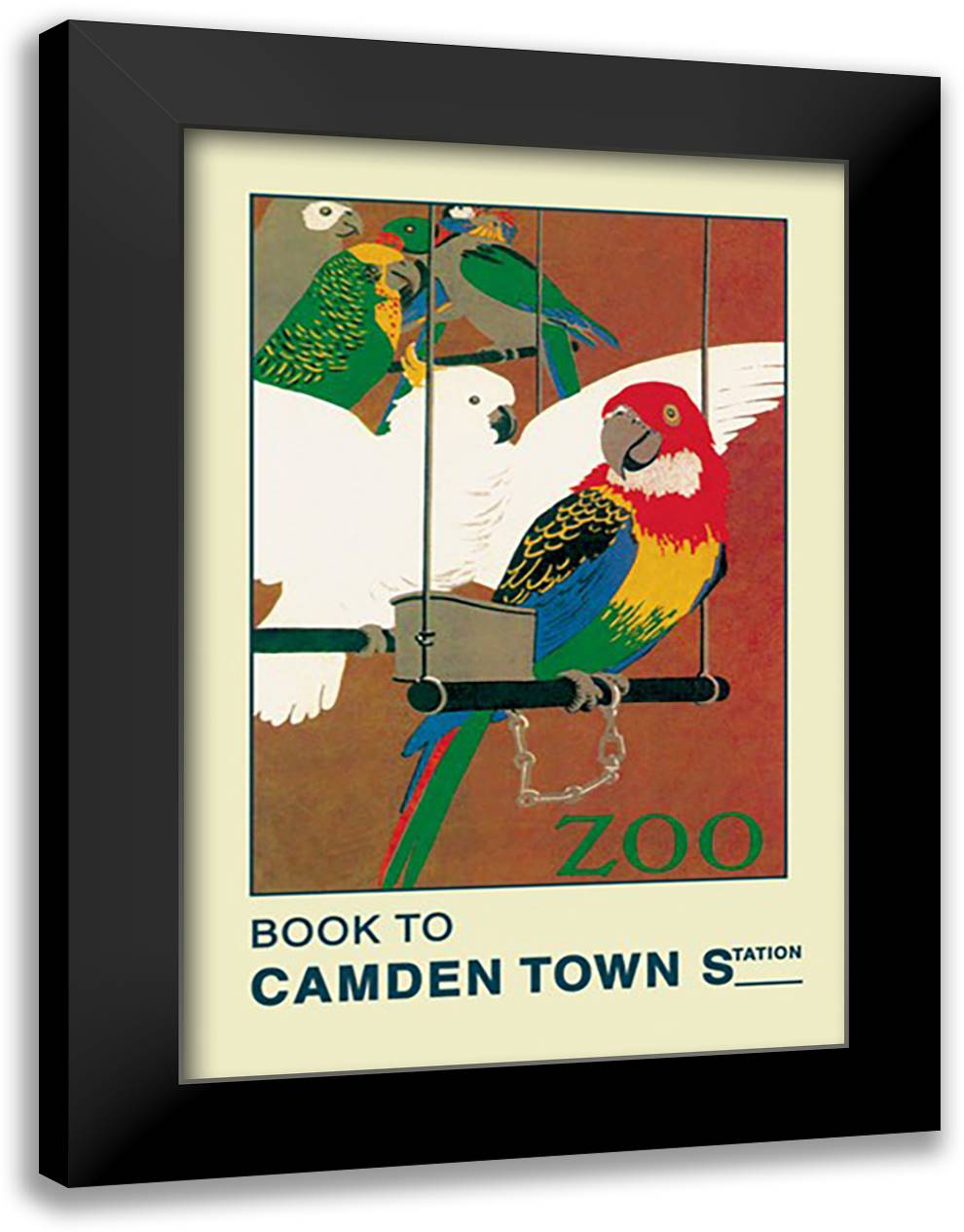 London Zoo: Exotic Birds 16x22 Black Modern Wood Framed Art Print Poster by Weeks