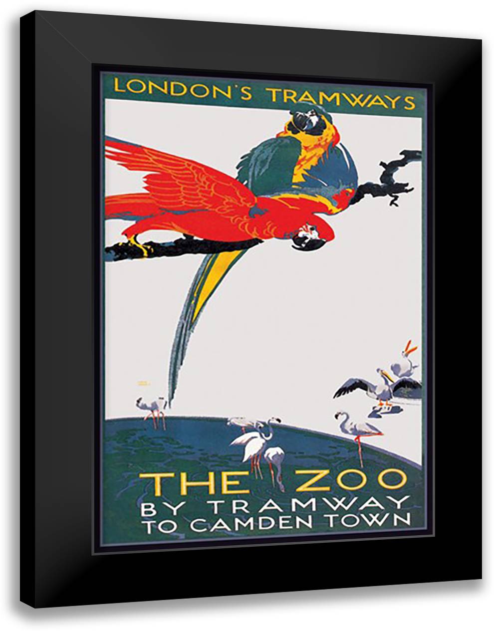 London Zoo: The Macaw 16x22 Black Modern Wood Framed Art Print Poster by Jones, Van