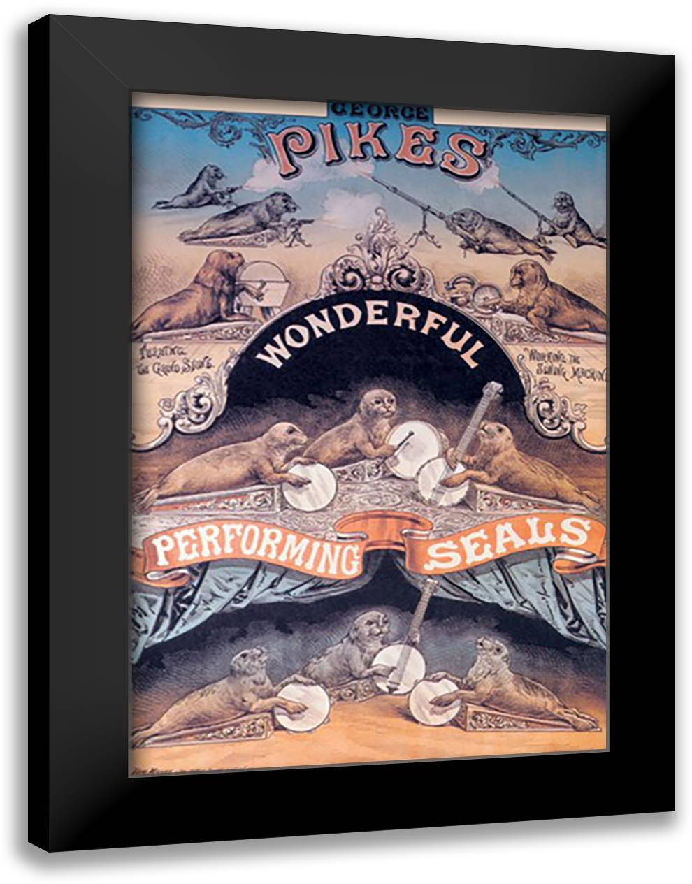 Pikes Wonderful Performing Seals 16x22 Black Modern Wood Framed Art Print Poster