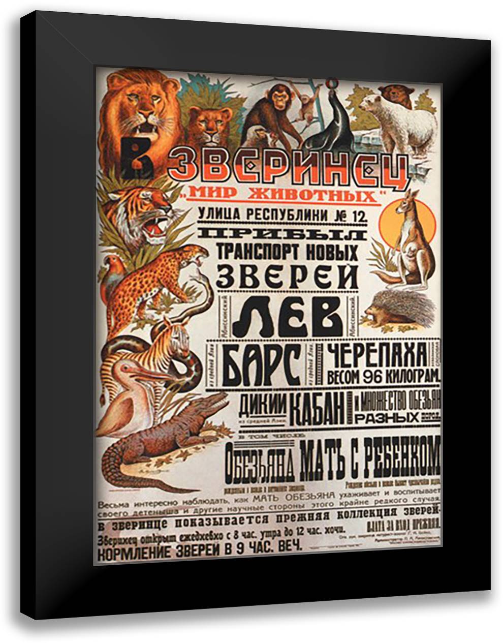 World of Animals 16x22 Black Modern Wood Framed Art Print Poster by Mukhanov, V.