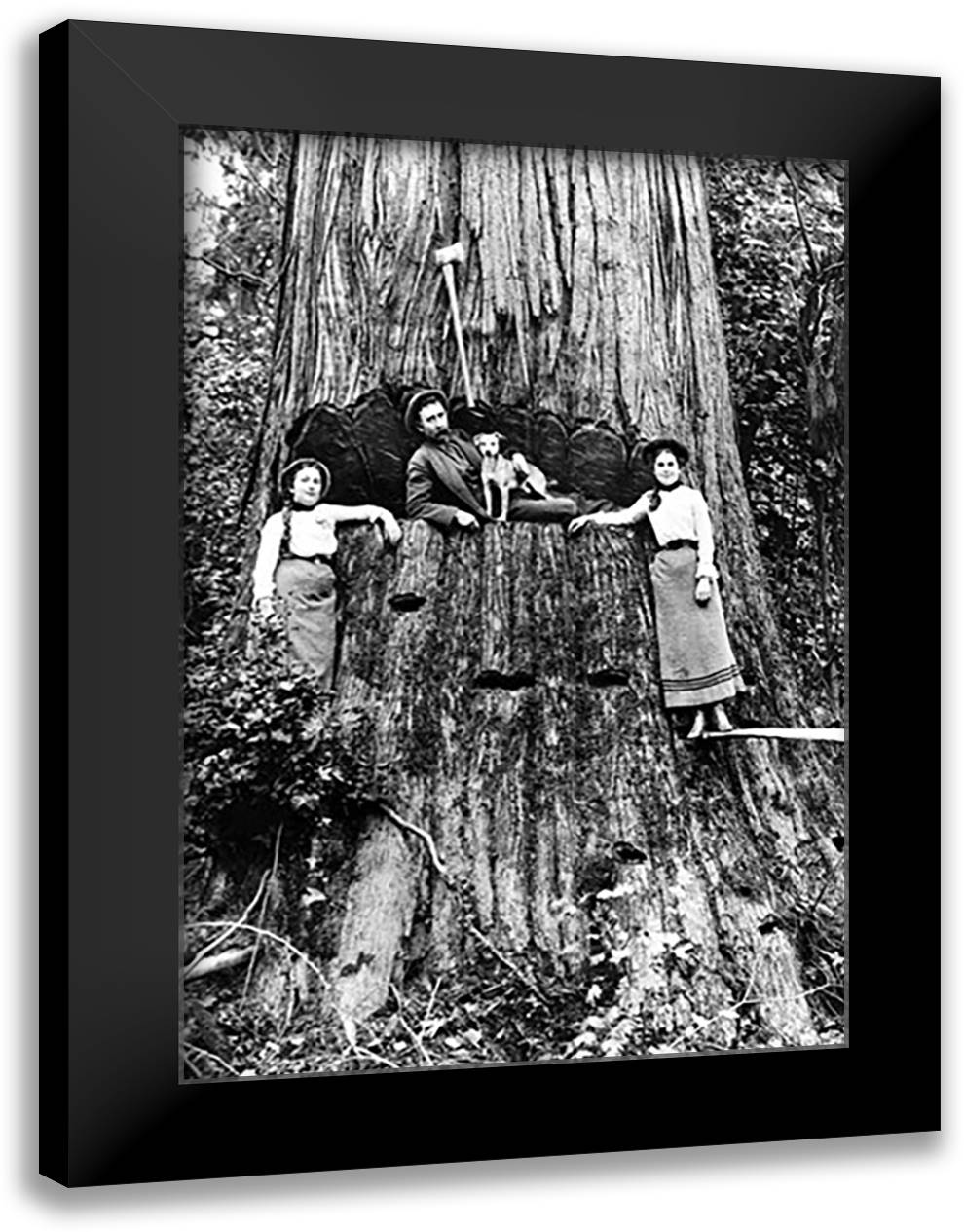 Family Fortune 16x22 Black Modern Wood Framed Art Print Poster by Kinsey, Clark