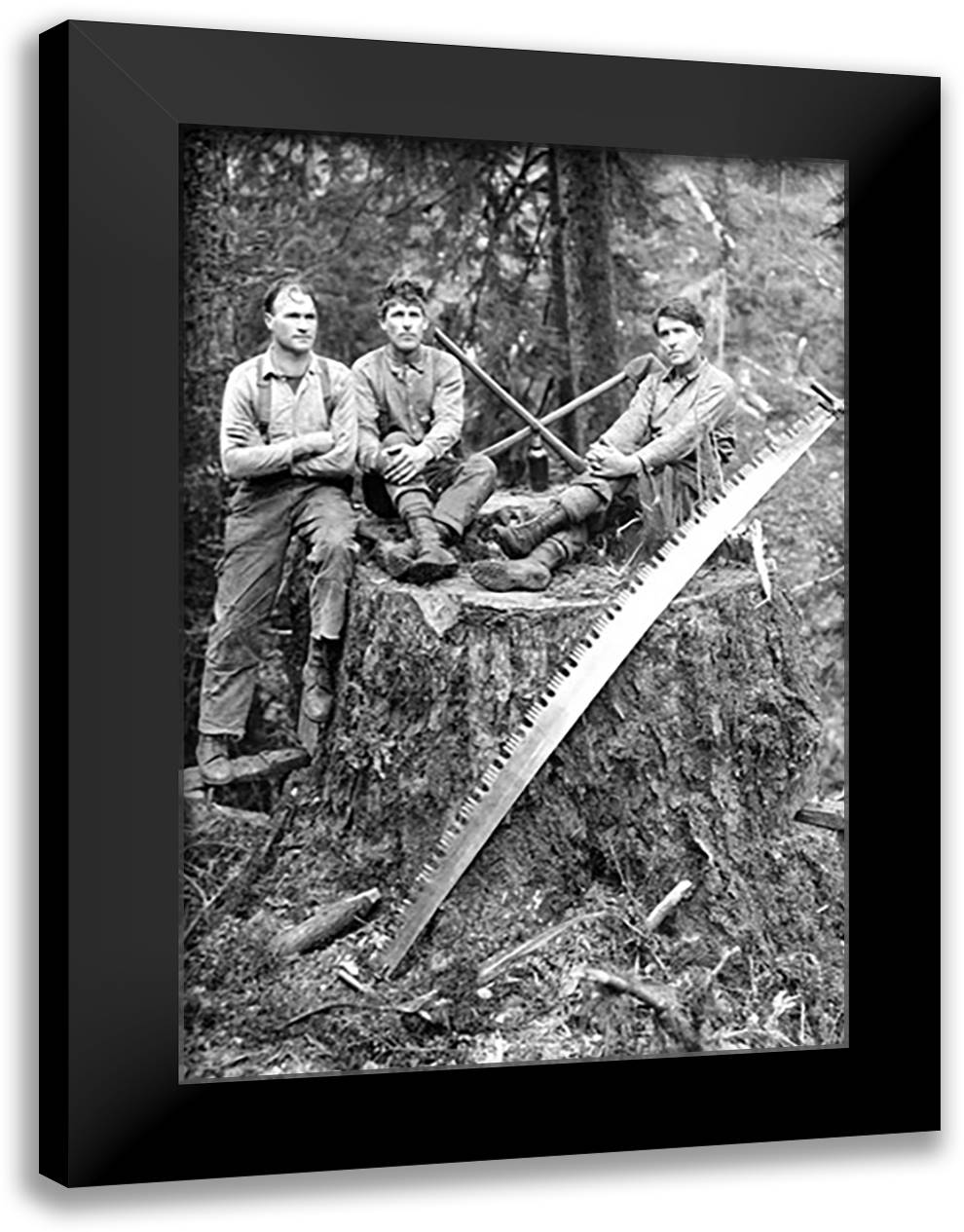 Stump 16x22 Black Modern Wood Framed Art Print Poster by Kinsey, Clark