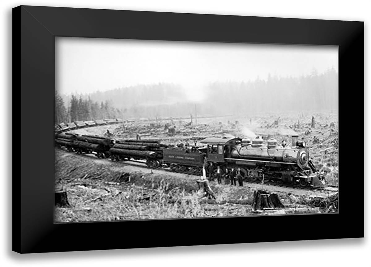 Feeding Frenzy 22x16 Black Modern Wood Framed Art Print Poster by Kinsey, Clark