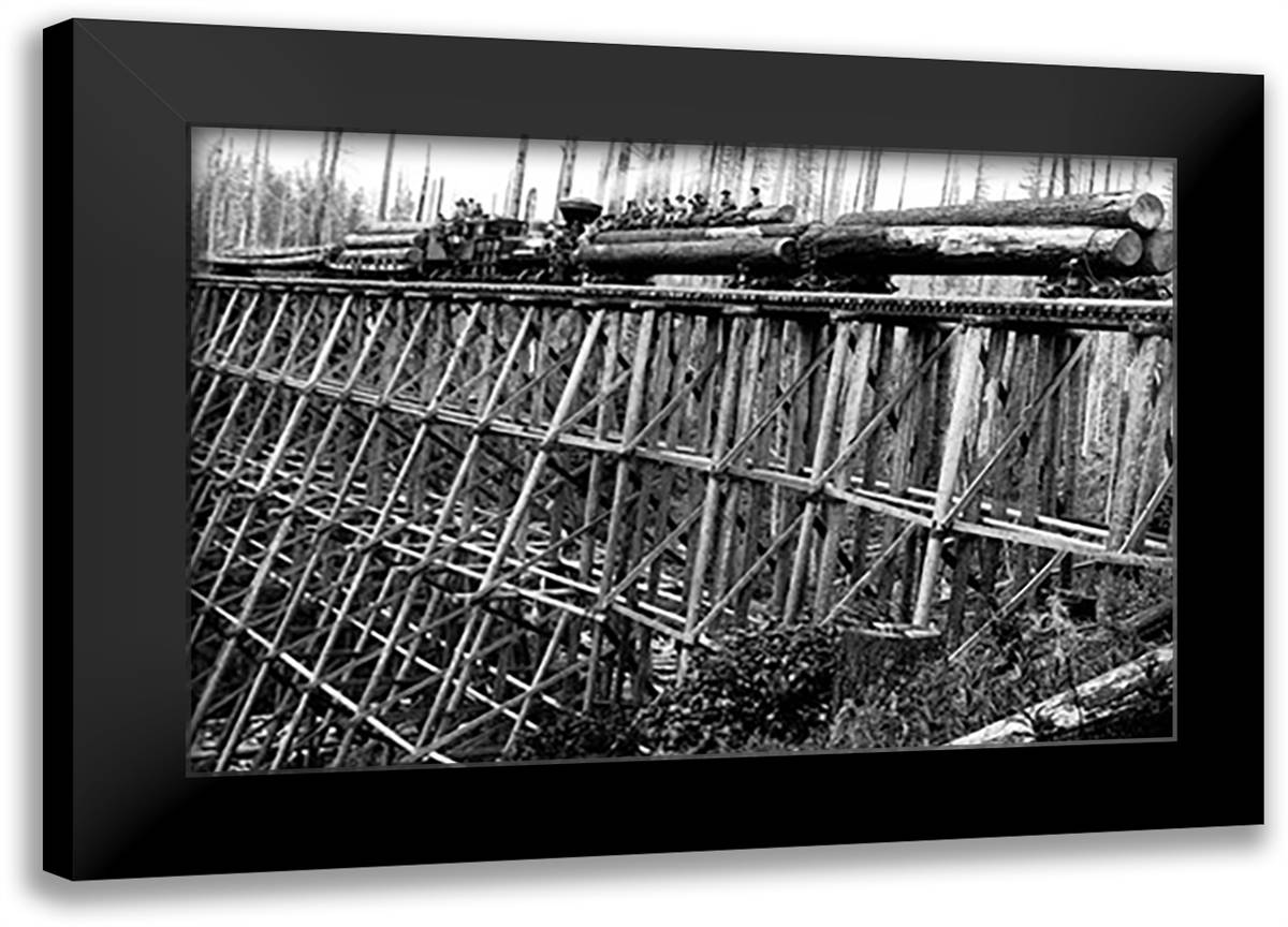 Bridge of Trees 22x16 Black Modern Wood Framed Art Print Poster by Kinsey, Clark