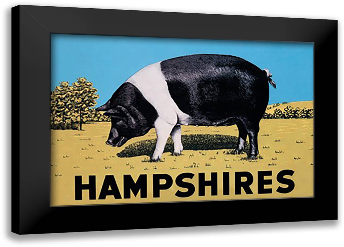 Hampshires 22x16 Black Modern Wood Framed Art Print Poster