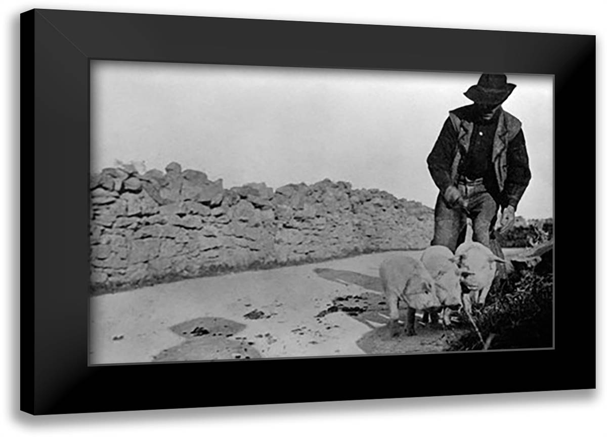 Man and His Pigs 22x16 Black Modern Wood Framed Art Print Poster