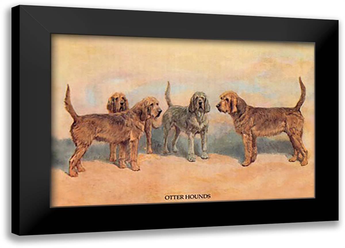 Otter Hounds 22x16 Black Modern Wood Framed Art Print Poster