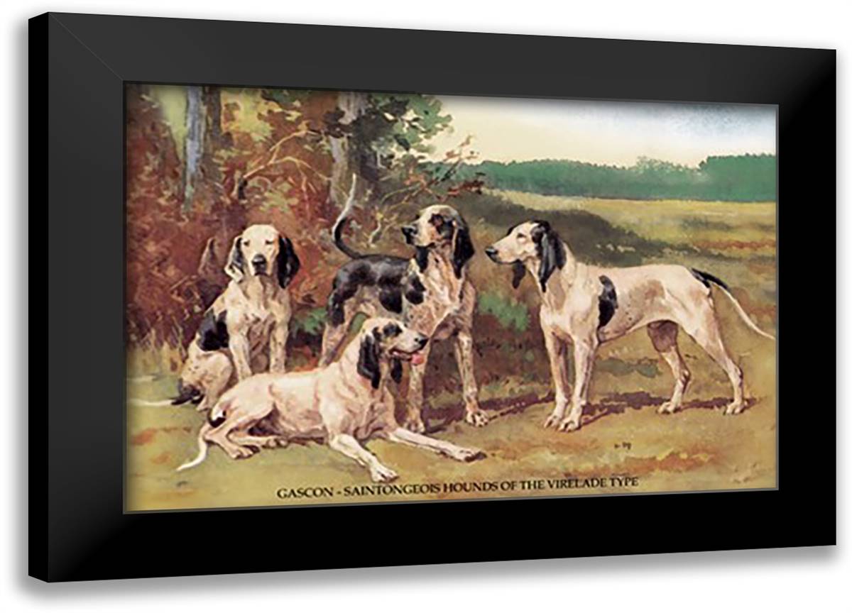 Gascon-Saintongeois Hounds of the Virelade Type 22x16 Black Modern Wood Framed Art Print Poster
