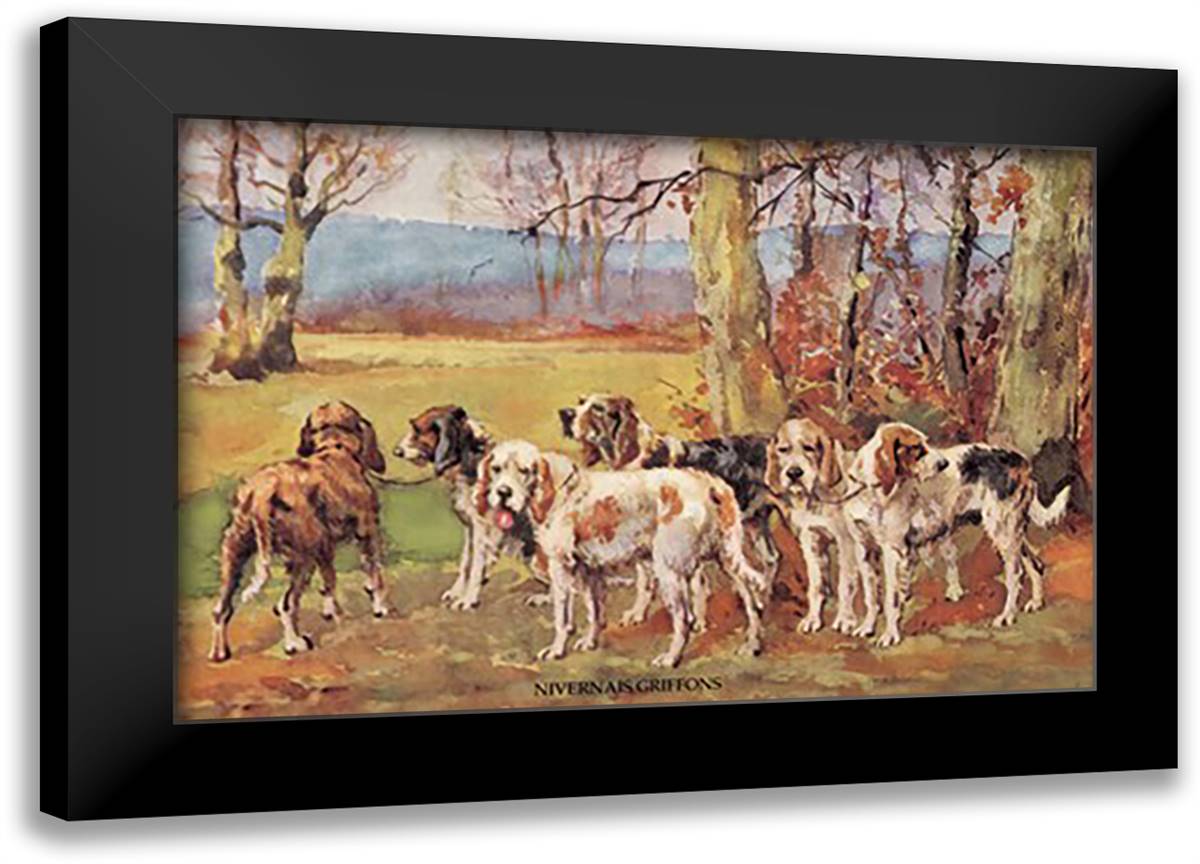 Nivernais Griffons 22x16 Black Modern Wood Framed Art Print Poster