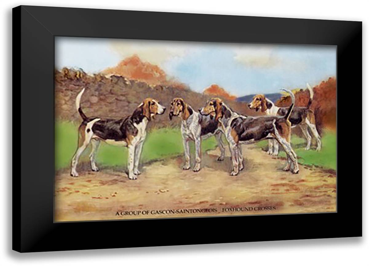 Group of Gascon-Saintongeois Foxhound Crosses 22x16 Black Modern Wood Framed Art Print Poster