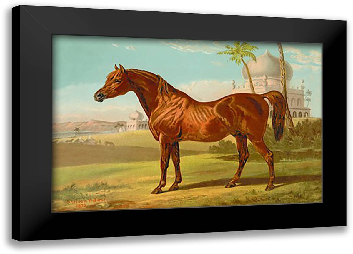 Goldie Arab 22x16 Black Modern Wood Framed Art Print Poster by Sidney, S.