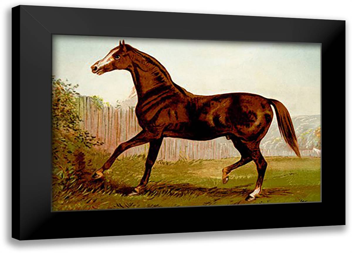 Blair Athol 22x16 Black Modern Wood Framed Art Print Poster by Sidney, S.