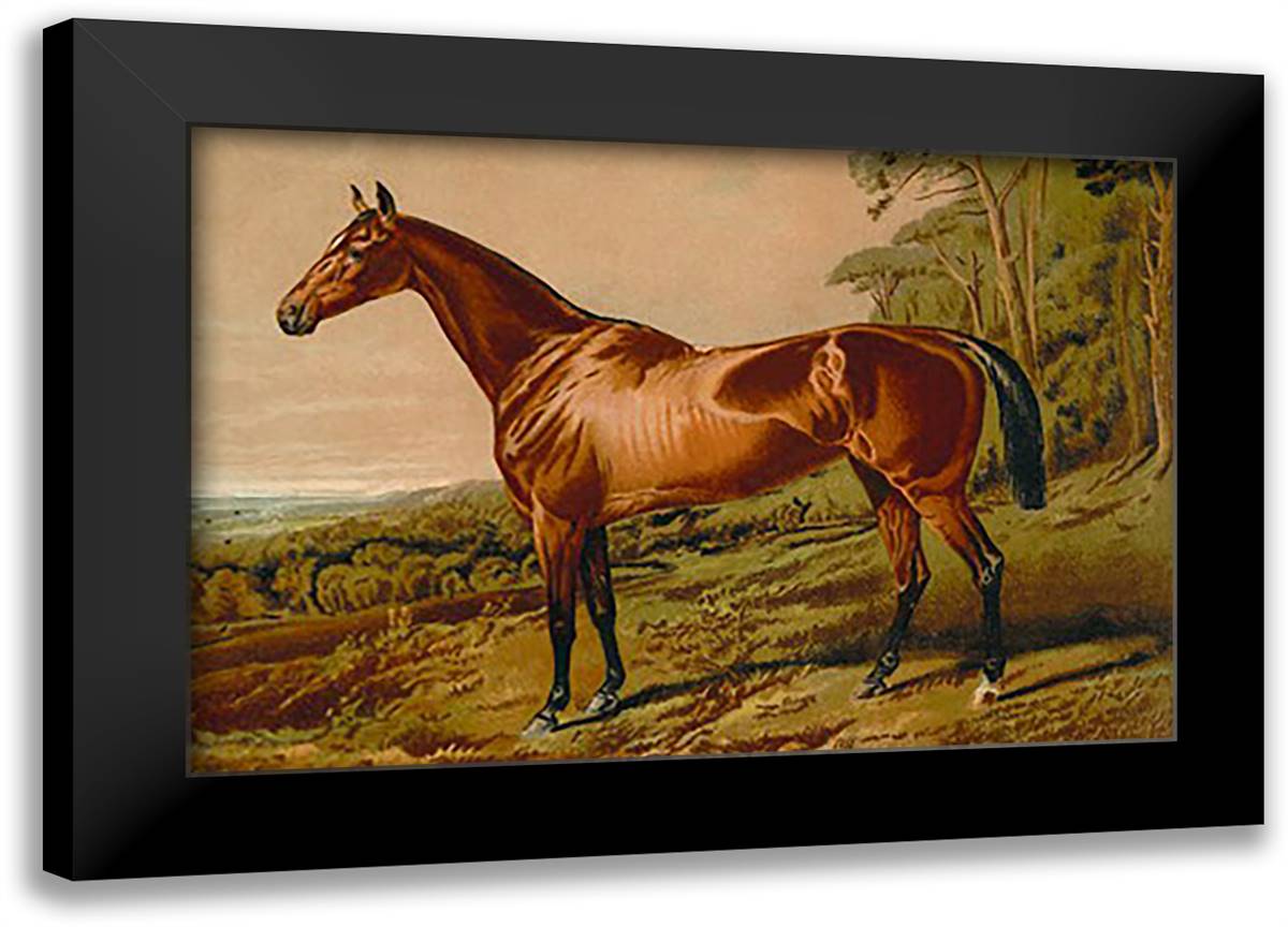 Fair Nell 22x16 Black Modern Wood Framed Art Print Poster by Sidney, S.