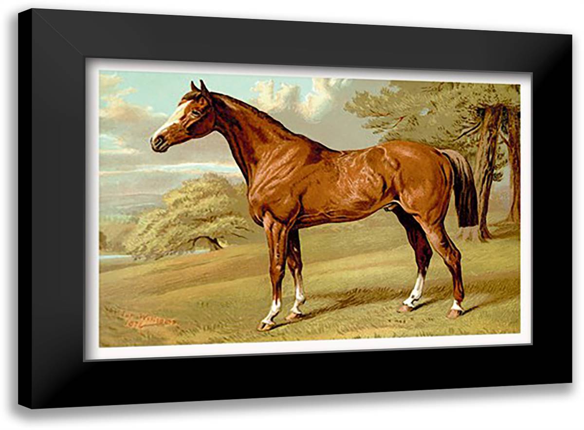 Stilton - A Hunter 22x16 Black Modern Wood Framed Art Print Poster by Sidney, S.