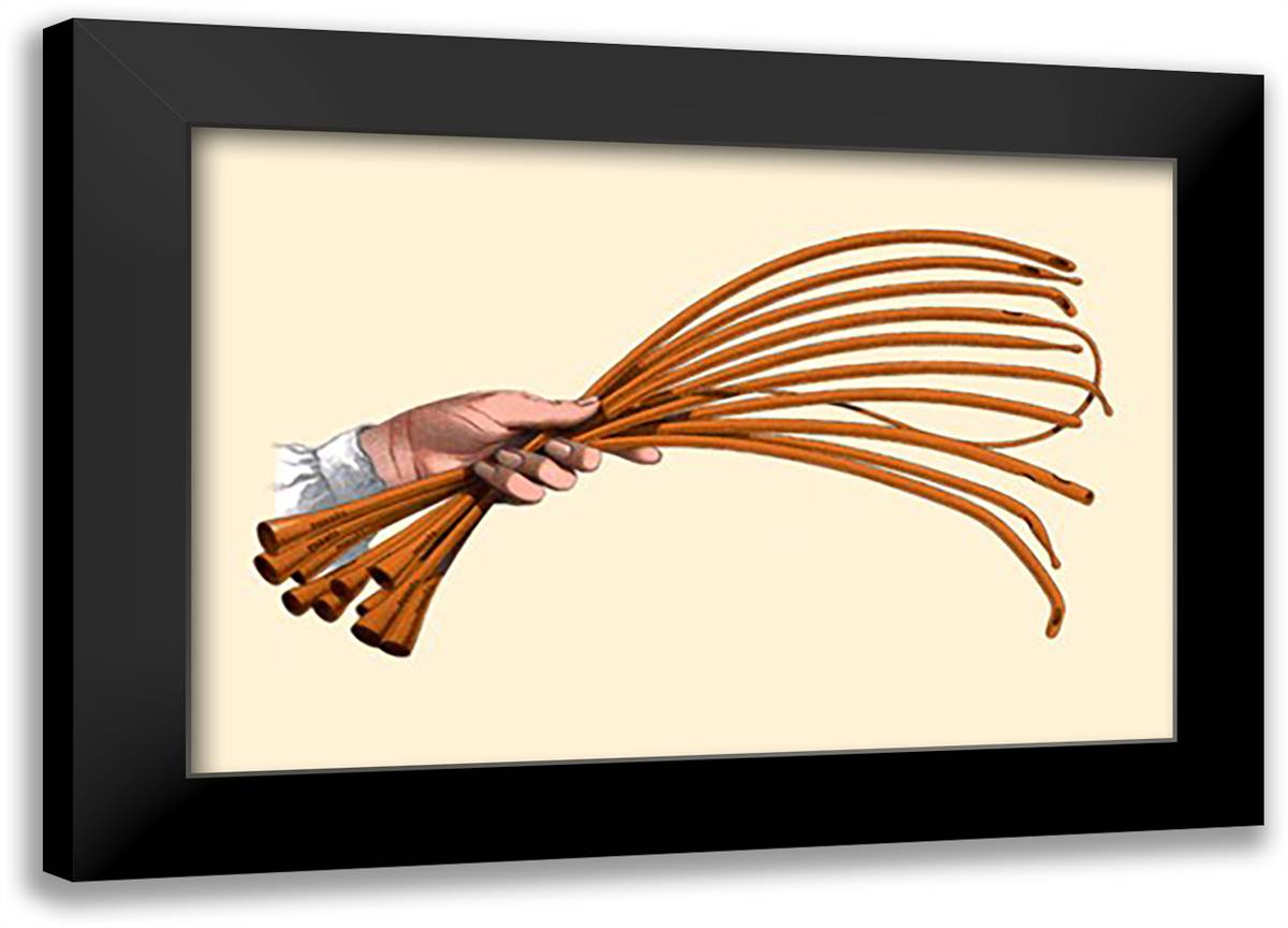 Catheters #2 22x16 Black Modern Wood Framed Art Print Poster by Porges, Jules