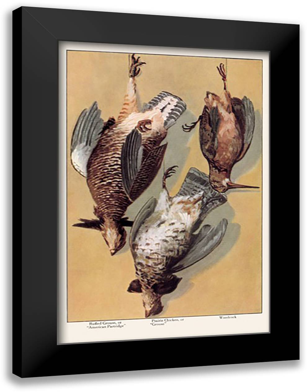 Grouse 16x22 Black Modern Wood Framed Art Print Poster