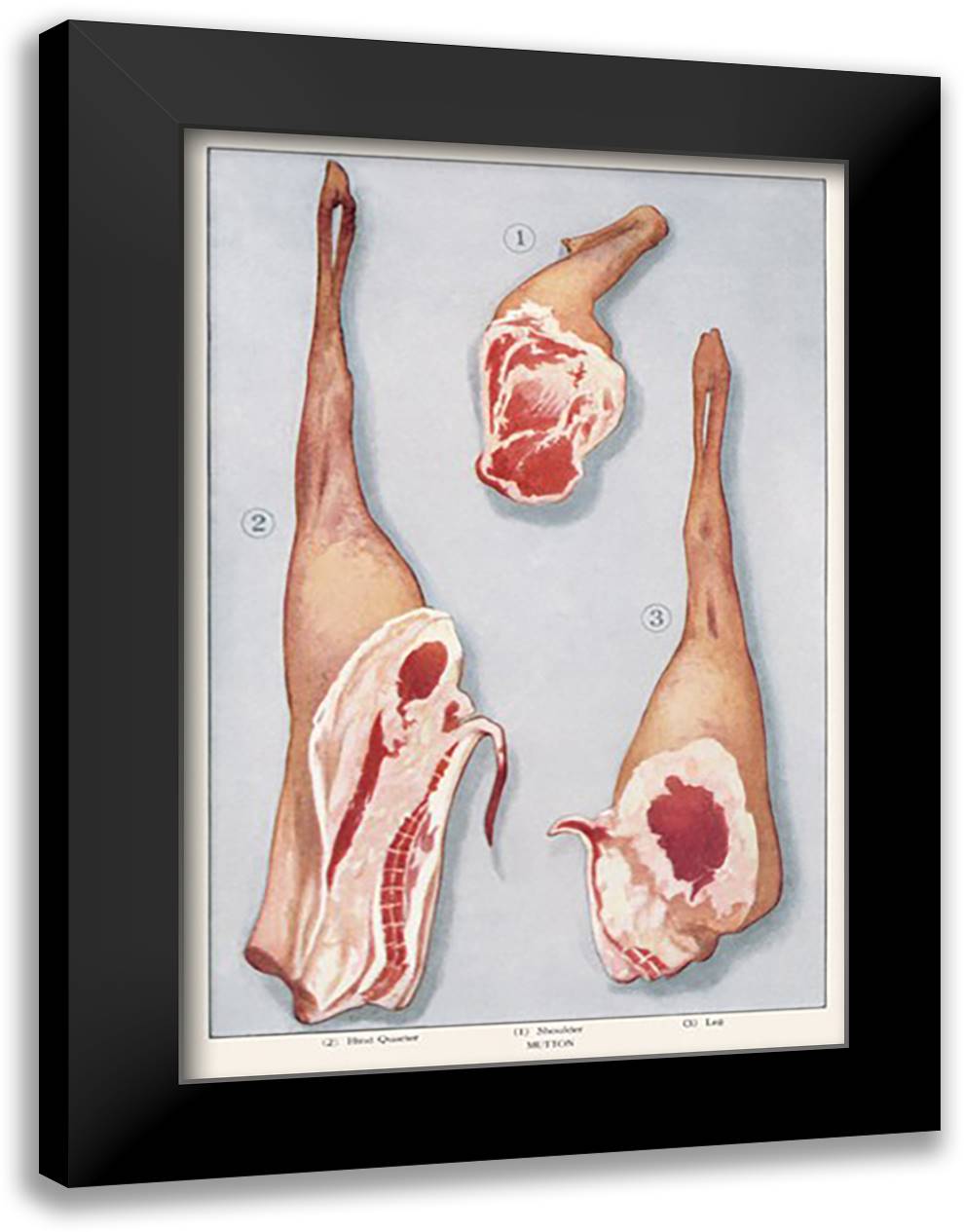 Mutton 16x22 Black Modern Wood Framed Art Print Poster