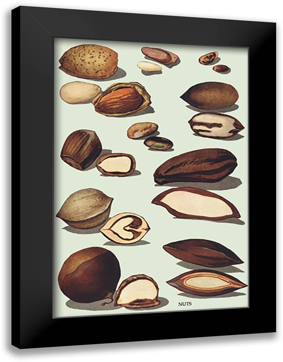 Nuts #2 16x22 Black Modern Wood Framed Art Print Poster