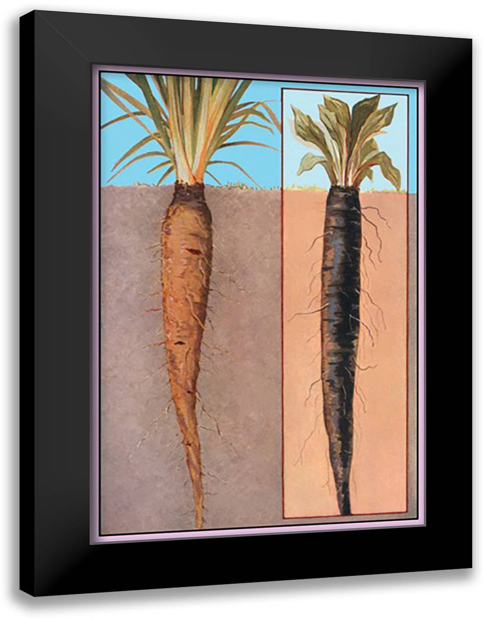 Oyster Plant #1 16x22 Black Modern Wood Framed Art Print Poster