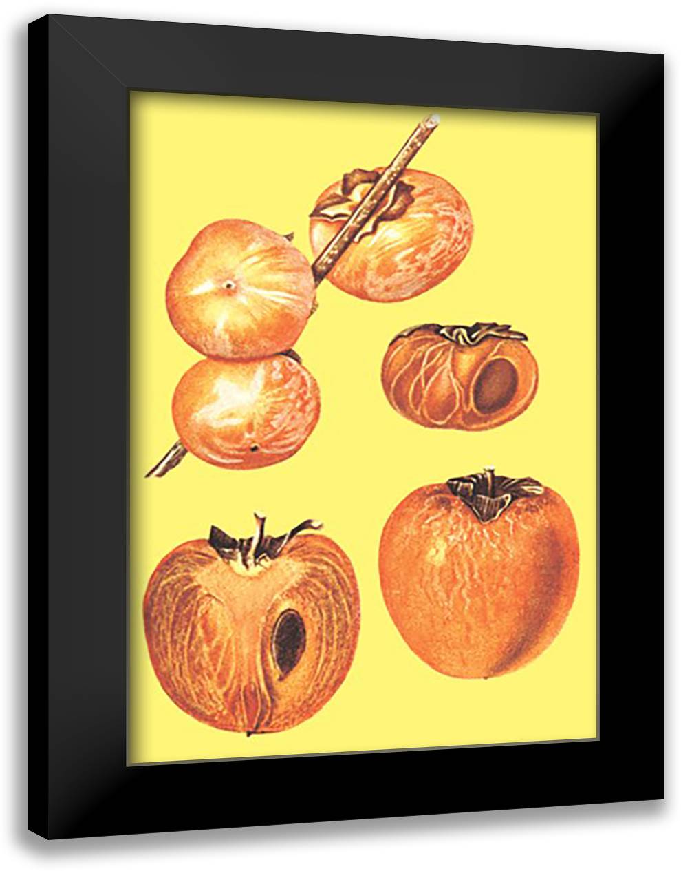Persimmons 16x22 Black Modern Wood Framed Art Print Poster