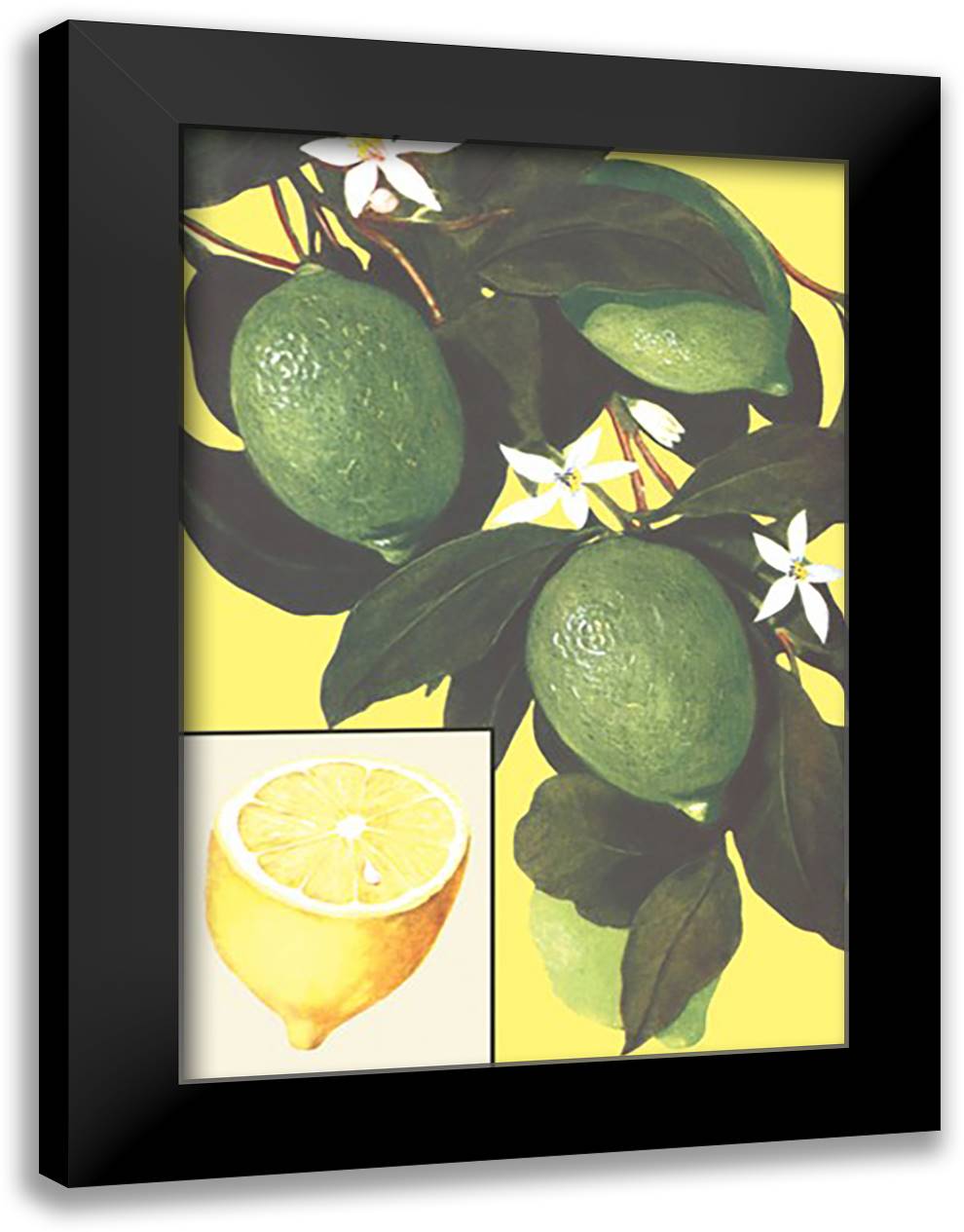 Lemon 16x22 Black Modern Wood Framed Art Print Poster