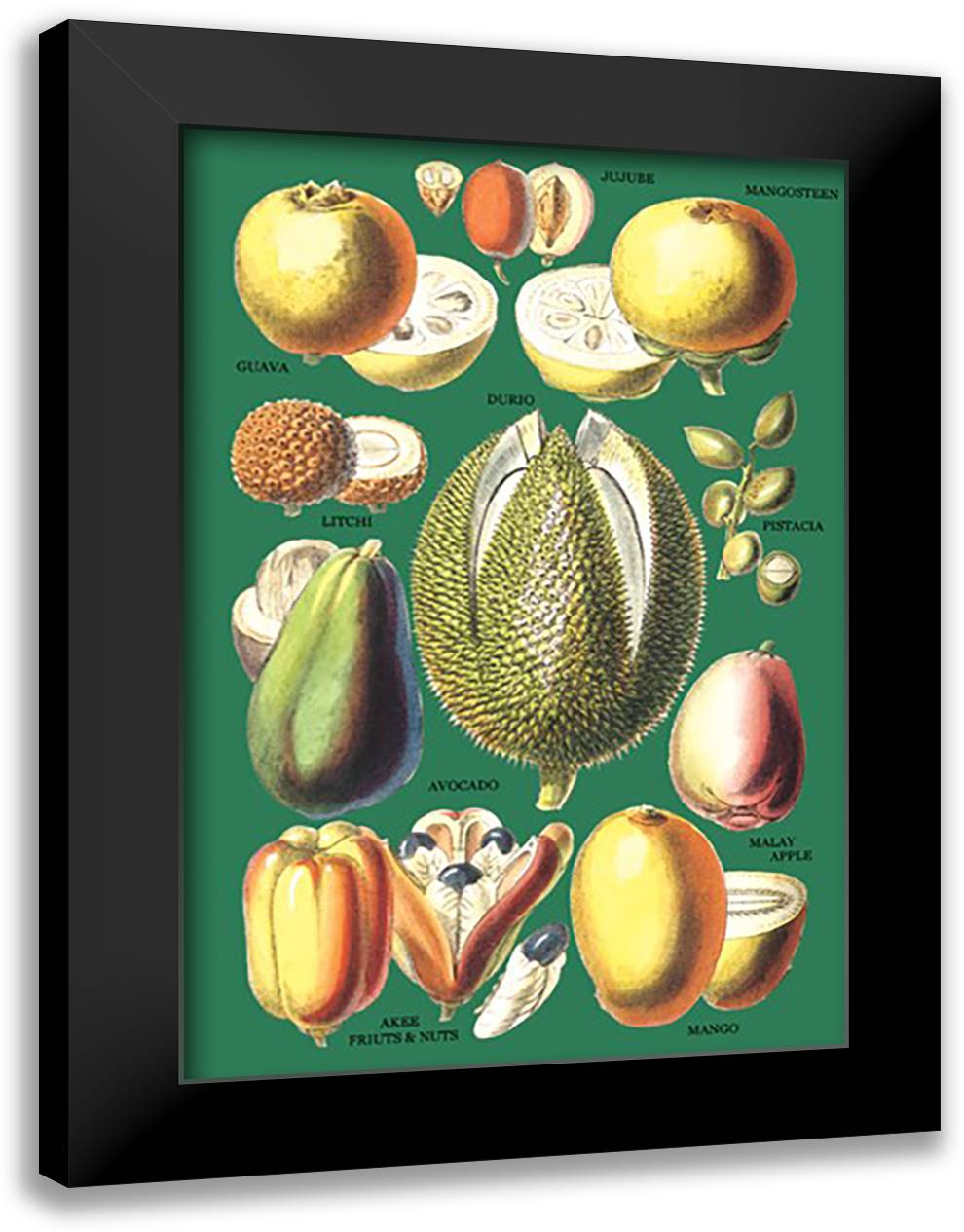 Fruits and Nuts #1 16x22 Black Modern Wood Framed Art Print Poster