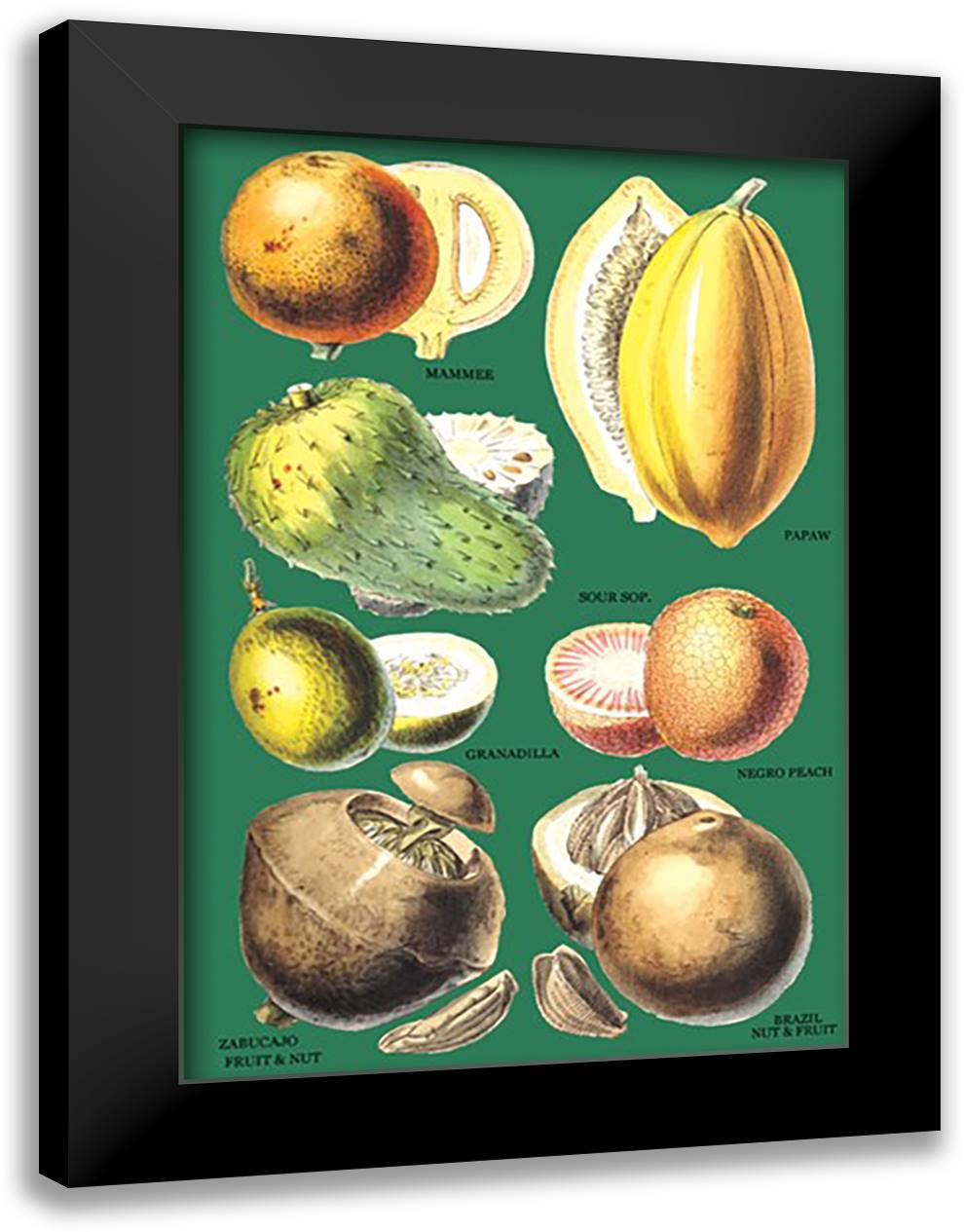 Fruits and Nuts #2 16x22 Black Modern Wood Framed Art Print Poster