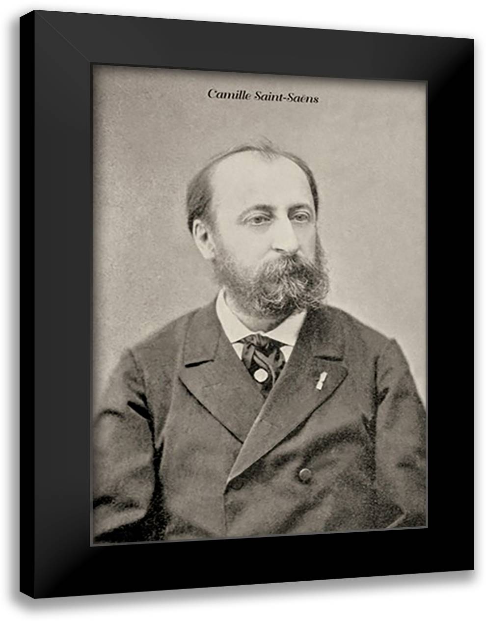Camille Saint-Saens 16x22 Black Modern Wood Framed Art Print Poster by Thomas, Theodore